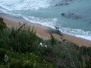 catlins (68)